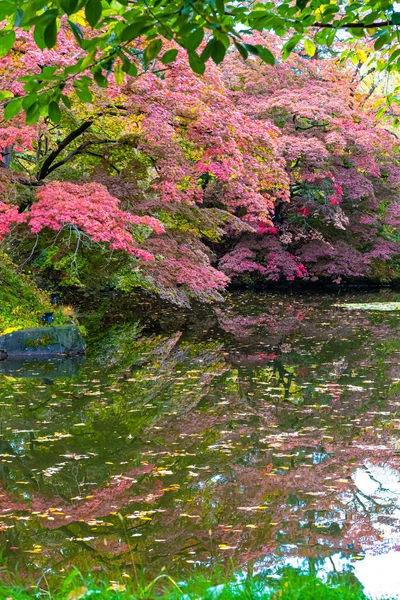 Hirosaki Castle Park jesienny widok z krajobrazu liści. Piękne krajobrazy wielokolorowe odbijające się na powierzchni w słoneczny dzień. Hirosaki City, prefektura Aomori, Japonia — Zdjęcie stockowe