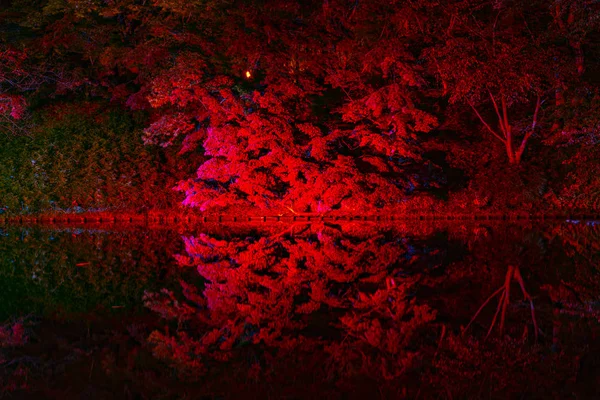 V Hirosaki Castle Park podzimním výhledem do krajiny. Krásná krajina, světlo v noci osvětlující různobarevné reflekci na povrchu. Hirosaki City, Prefektura Aomori, Japonsko — Stock fotografie