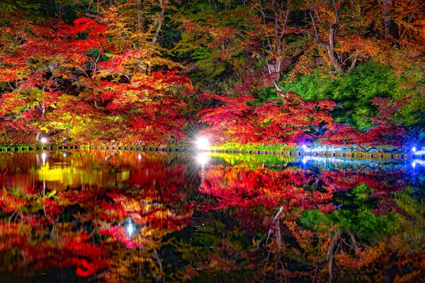 Hirosaki Castle Park Vista del paisaje de follaje de otoño. Hermosos paisajes, el foso se ilumina por la noche iluminando multicolor reflejando en la superficie. Hirosaki, Prefectura de Aomori, Japón — Foto de Stock