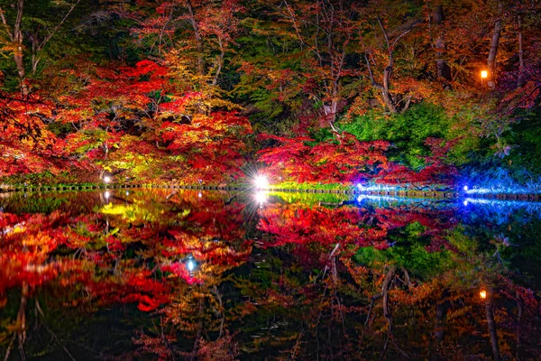 Hirosaki kasteel park herfst gebladerte landschap uitzicht. Prachtige landschappen, de gracht oplichten 's nachts verlicht Multicolor reflecterend op het oppervlak. Hirosaki City, prefectuur Aomori, Japan — Stockfoto