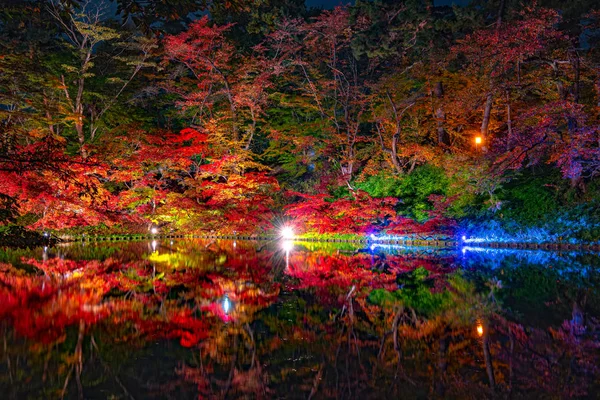 Hirosaki Castle Park Vista del paisaje de follaje de otoño. Hermosos paisajes, el foso se ilumina por la noche iluminando multicolor reflejando en la superficie. Hirosaki, Prefectura de Aomori, Japón — Foto de Stock