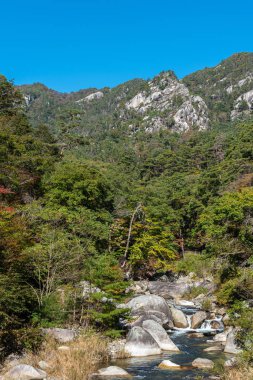 Güneşli bir günde Mitake Shosenkyo Gorge Sonbahar yeşillik manzara manzarası. Muhteşem sonbahar renklerigüzellik manzaralar. Kofu, Yamanashi Prefecture, Japonya'da popüler turistik mekanlar