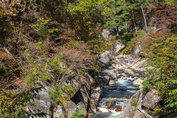 Mitake Shosenkyo Gorge Otoño follaje paisaje vista en día soleado. Paisajes de belleza de magníficos colores otoñales. Atracciones turísticas populares en Kofu, Prefectura de Yamanashi, Japón — Foto de Stock