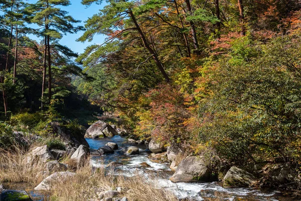 Soutěska mitake Shosenkyo podzimní pohled na scenérii za slunečného dne. Nádherná krajina, kde jsou nádherné barvy pádu. Populární turistické atrakce v Kofu, prefektuře Jamanaši, Japonsko — Stock fotografie