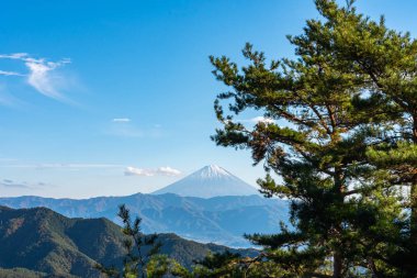 Fuji Dağı, Dünya Mirası. Güzel manzara, ön planda çam ormanları, arka planda mavi gökyüzü ve beyaz bulutlar. Shosenkyo gözlem istasyonu, Kofu City, Yamanashi Prefecture, Japonya