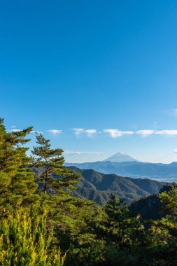 Fuji Dağı, Dünya Mirası. Güzel manzara, ön planda çam ormanları, arka planda mavi gökyüzü ve beyaz bulutlar. Shosenkyo gözlem istasyonu, Kofu City, Yamanashi Prefecture, Japonya