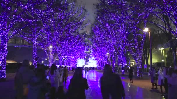 Tokyo, Japonya - 21 Aralık 2018 : Shibuya Mavi Mağarası kış aydınlatma festivali, şehirdeki ünlü romantik ışık etkinlikleri, güzel manzara, popüler turistik mekanlar, tatil için seyahat yerleri — Stok video