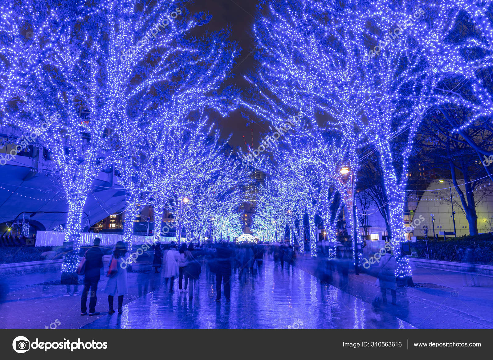 Shibuya Blue Cave Winter Illumination Festival Beautiful View Popular Tourist Attractions Travel Destinations For Holiday Famous Romantic Light Up Events In Tokyo City Japan Stock Photo Image By C Shawn Ccf Shibuya Blue Cave Winter Illumination Festival Beautiful View Popular Tourist Attractions Travel Destinations For Holiday Famous Romantic Light Up Events In Tokyo City Japan Stock Photo Image By C Shawn Ccf