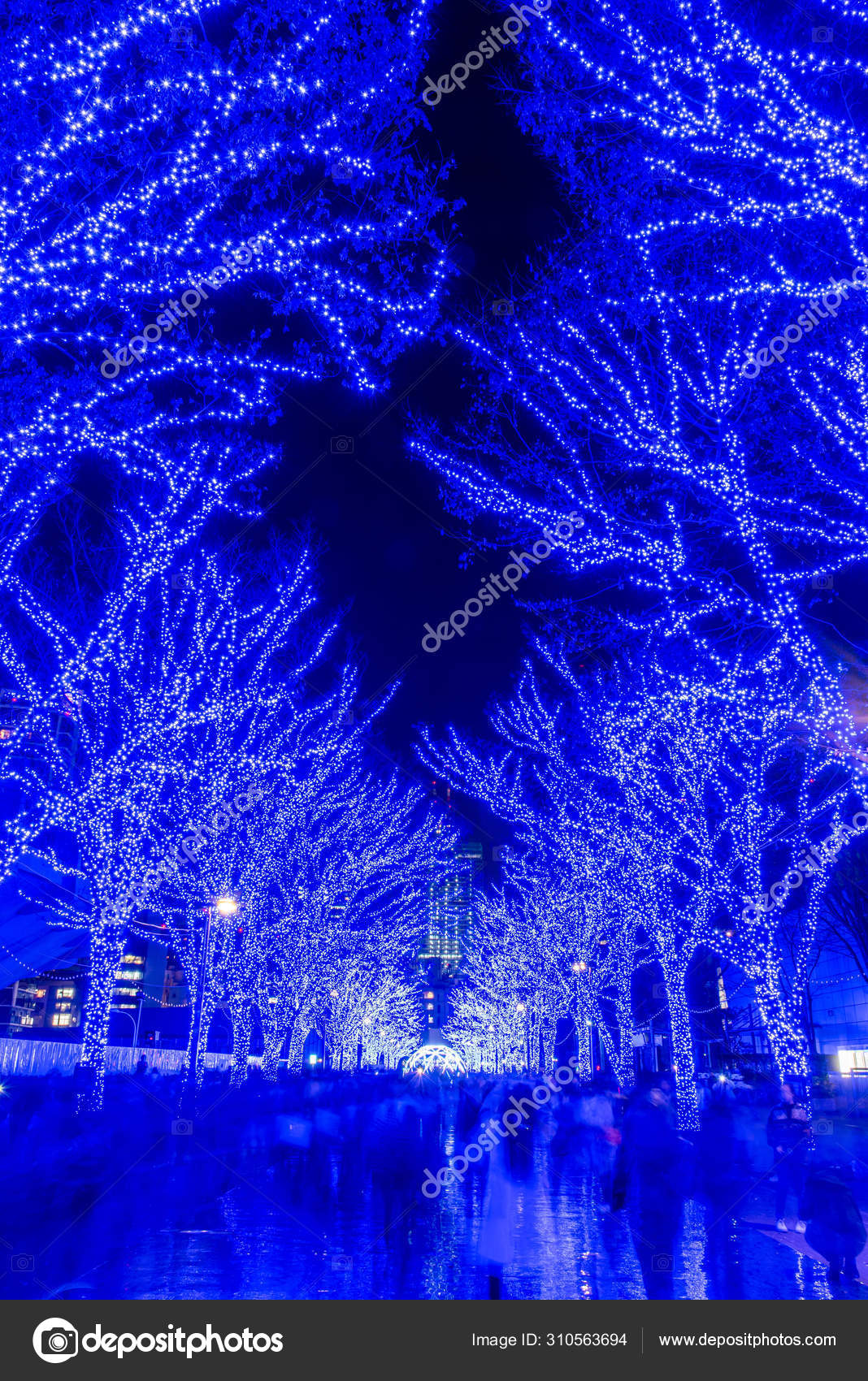Shibuya Blue Cave Winter Illumination Festival Beautiful View Popular Tourist Attractions Travel Destinations For Holiday Famous Romantic Light Up Events In Tokyo City Japan Stock Photo Image By C Shawn Ccf Shibuya Blue Cave Winter Illumination Festival Beautiful View Popular Tourist Attractions Travel Destinations For Holiday Famous Romantic Light Up Events In Tokyo City Japan Stock Photo Image By C Shawn Ccf
