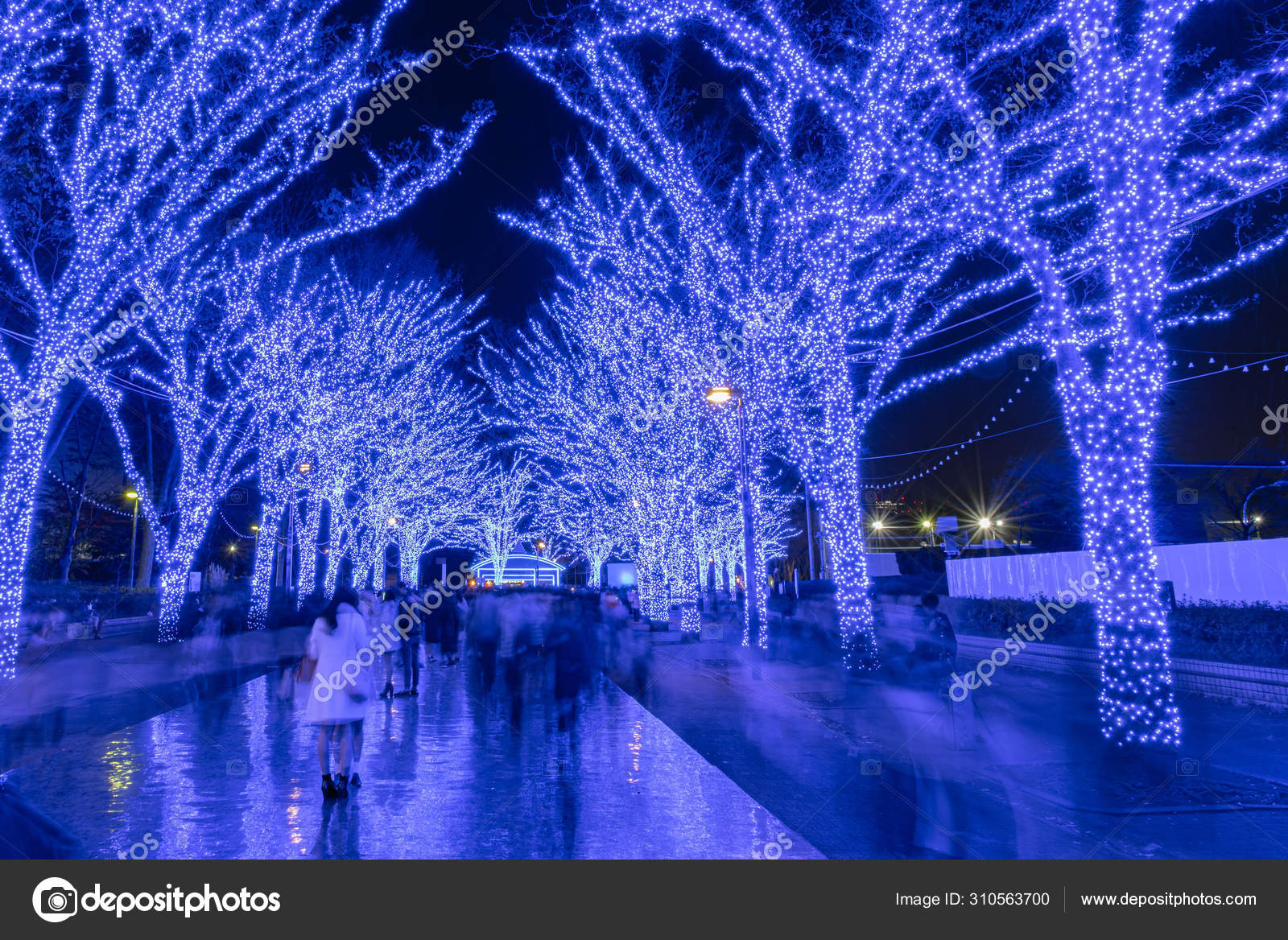 Shibuya Blue Cave Winter Illumination Festival Beautiful View Popular Tourist Attractions Travel Destinations For Holiday Famous Romantic Light Up Events In Tokyo City Japan Stock Photo Image By C Shawn Ccf Shibuya Blue Cave Winter Illumination Festival Beautiful View Popular Tourist Attractions Travel Destinations For Holiday Famous Romantic Light Up Events In Tokyo City Japan Stock Photo Image By C Shawn Ccf