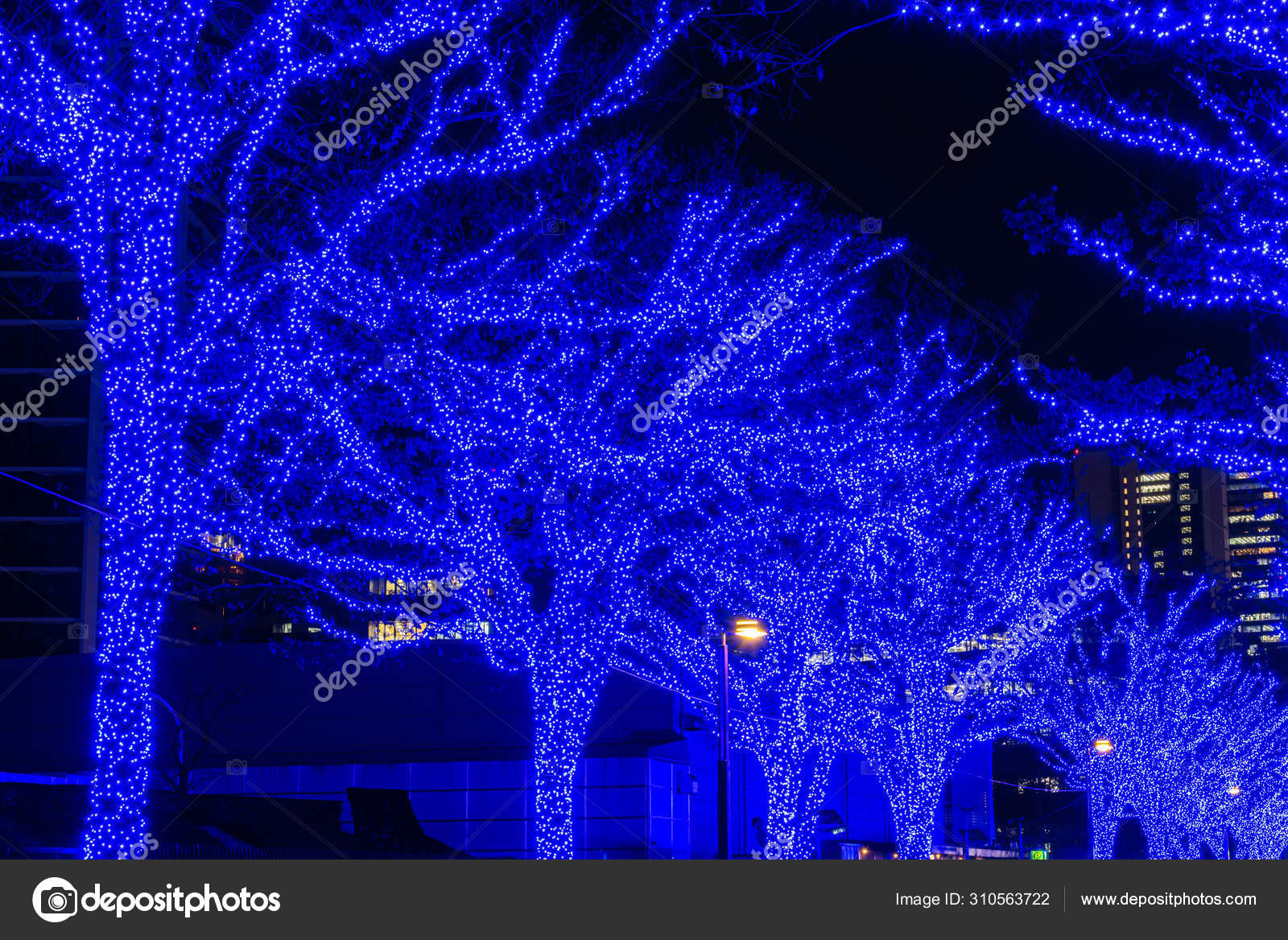 Shibuya Blue Cave Winter Illumination Festival Beautiful View Popular Tourist Attractions Travel Destinations For Holiday Famous Romantic Light Up Events In Tokyo City Japan Stock Photo Image By C Shawn Ccf Shibuya Blue Cave Winter Illumination Festival Beautiful View Popular Tourist Attractions Travel Destinations For Holiday Famous Romantic Light Up Events In Tokyo City Japan Stock Photo Image By C Shawn Ccf