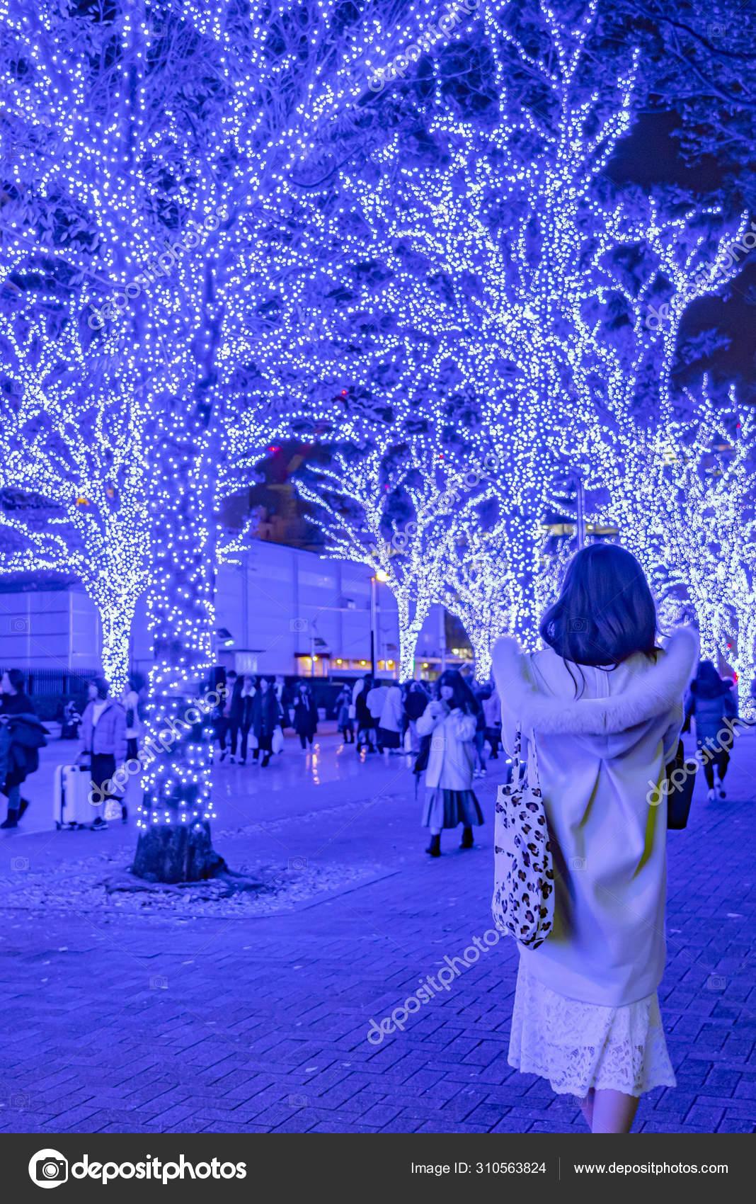 Shibuya Blue Cave Winter Illumination Festival Beautiful View Popular Tourist Attractions Travel Destinations For Holiday Famous Romantic Light Up Events In Tokyo City Japan Stock Photo Image By C Shawn Ccf Shibuya Blue Cave Winter Illumination Festival Beautiful View Popular Tourist Attractions Travel Destinations For Holiday Famous Romantic Light Up Events In Tokyo City Japan Stock Photo Image By C Shawn Ccf