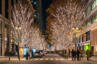 Tokyo, Japonya - 19 Aralık 2018 : Tokyo Marunouchi kış aydınlatma festivali, şehirdeki ünlü romantik ışık etkinlikleri, güzel manzara, popüler turistik mekanlar, tatil için seyahat yerleri