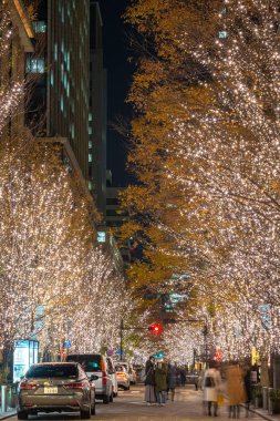 Tokyo, Japonya - 19 Aralık 2018 : Tokyo Marunouchi kış aydınlatma festivali, şehirdeki ünlü romantik ışık etkinlikleri, güzel manzara, popüler turistik mekanlar, tatil için seyahat yerleri
