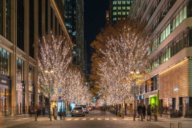 Tokyo, Japonya - 19 Aralık 2018 : Tokyo Marunouchi kış aydınlatma festivali, şehirdeki ünlü romantik ışık etkinlikleri, güzel manzara, popüler turistik mekanlar, tatil için seyahat yerleri