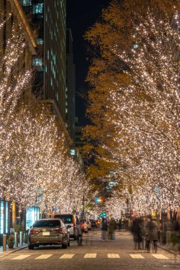 Tokyo, Japonya - 19 Aralık 2018 : Tokyo Marunouchi kış aydınlatma festivali, şehirdeki ünlü romantik ışık etkinlikleri, güzel manzara, popüler turistik mekanlar, tatil için seyahat yerleri