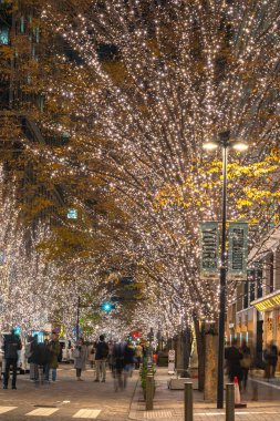 Tokyo, Japonya - 19 Aralık 2018 : Tokyo Marunouchi kış aydınlatma festivali, şehirdeki ünlü romantik ışık etkinlikleri, güzel manzara, popüler turistik mekanlar, tatil için seyahat yerleri