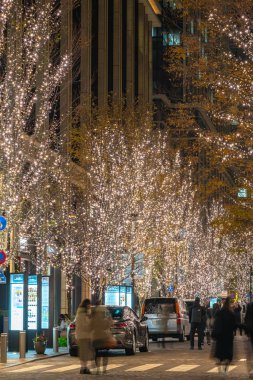 Tokyo, Japonya - 19 Aralık 2018 : Tokyo Marunouchi kış aydınlatma festivali, şehirdeki ünlü romantik ışık etkinlikleri, güzel manzara, popüler turistik mekanlar, tatil için seyahat yerleri