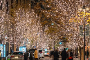 Tokyo, Japonya - 19 Aralık 2018 : Tokyo Marunouchi kış aydınlatma festivali, şehirdeki ünlü romantik ışık etkinlikleri, güzel manzara, popüler turistik mekanlar, tatil için seyahat yerleri