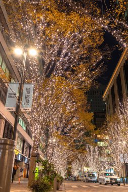 Tokyo, Japonya - 19 Aralık 2018 : Tokyo Marunouchi kış aydınlatma festivali, şehirdeki ünlü romantik ışık etkinlikleri, güzel manzara, popüler turistik mekanlar, tatil için seyahat yerleri