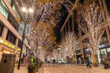 Tokyo, Japonya - 19 Aralık 2018 : Tokyo Marunouchi kış aydınlatma festivali, şehirdeki ünlü romantik ışık etkinlikleri, güzel manzara, popüler turistik mekanlar, tatil için seyahat yerleri