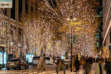 Tokyo, Japonya - 19 Aralık 2018 : Tokyo Marunouchi kış aydınlatma festivali, şehirdeki ünlü romantik ışık etkinlikleri, güzel manzara, popüler turistik mekanlar, tatil için seyahat yerleri