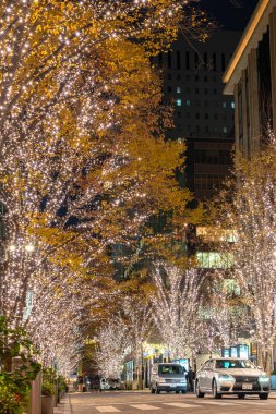 Tokyo, Japonya - 19 Aralık 2018 : Tokyo Marunouchi kış aydınlatma festivali, şehirdeki ünlü romantik ışık etkinlikleri, güzel manzara, popüler turistik mekanlar, tatil için seyahat yerleri