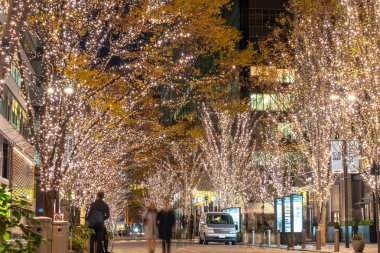 Tokyo, Japonya - 19 Aralık 2018 : Tokyo Marunouchi kış aydınlatma festivali, şehirdeki ünlü romantik ışık etkinlikleri, güzel manzara, popüler turistik mekanlar, tatil için seyahat yerleri
