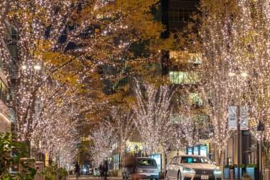 Tokyo, Japonya - 19 Aralık 2018 : Tokyo Marunouchi kış aydınlatma festivali, şehirdeki ünlü romantik ışık etkinlikleri, güzel manzara, popüler turistik mekanlar, tatil için seyahat yerleri