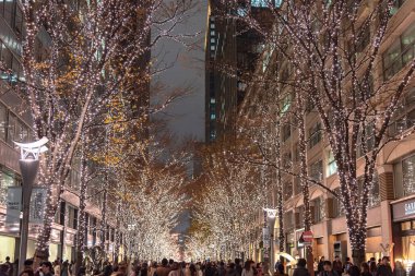 Tokyo, Japonya - 19 Aralık 2018 : Tokyo Marunouchi kış aydınlatma festivali, şehirdeki ünlü romantik ışık etkinlikleri, güzel manzara, popüler turistik mekanlar, tatil için seyahat yerleri