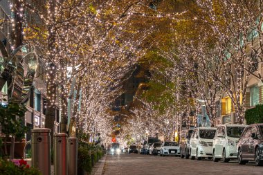 Tokyo, Japonya - 19 Aralık 2018 : Tokyo Marunouchi kış aydınlatma festivali, şehirdeki ünlü romantik ışık etkinlikleri, güzel manzara, popüler turistik mekanlar, tatil için seyahat yerleri