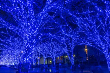 Shibuya Mavi Mağarası kış aydınlatma festivali, güzel görünümü, popüler turistik, tatil için seyahat yerler, Tokyo, Japonya'da ünlü romantik ışık olaylar. Çevirisi : 