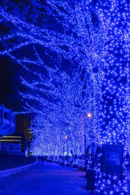 Shibuya Mavi Mağarası kış aydınlatma festivali, güzel görünümü, popüler turistik, tatil için seyahat yerler, Tokyo, Japonya'da ünlü romantik ışık olaylar. Çevirisi : 