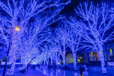 Tokyo, Japonya - 21 Aralık 2018 : Shibuya Mavi Mağarası kış aydınlatma festivali, şehirdeki ünlü romantik ışık etkinlikleri, güzel manzara, popüler turistik mekanlar, tatil için seyahat yerleri