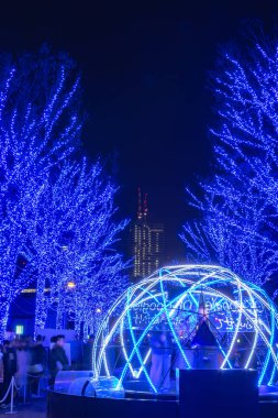 Tokyo, Japonya - 21 Aralık 2018 : Shibuya Mavi Mağarası kış aydınlatma festivali, şehirdeki ünlü romantik ışık etkinlikleri, güzel manzara, popüler turistik mekanlar, tatil için seyahat yerleri