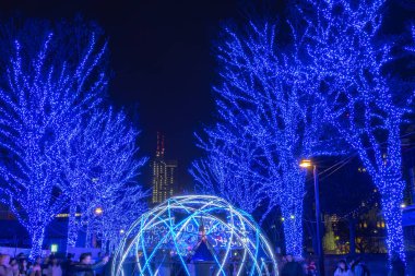 Tokyo, Japonya - 21 Aralık 2018 : Shibuya Mavi Mağarası kış aydınlatma festivali, şehirdeki ünlü romantik ışık etkinlikleri, güzel manzara, popüler turistik mekanlar, tatil için seyahat yerleri