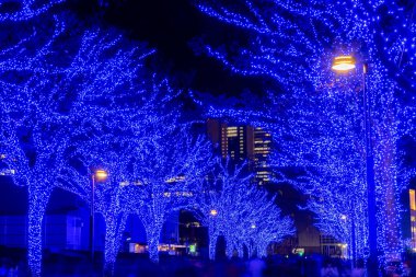 Tokyo, Japonya - 21 Aralık 2018 : Shibuya Mavi Mağarası kış aydınlatma festivali, şehirdeki ünlü romantik ışık etkinlikleri, güzel manzara, popüler turistik mekanlar, tatil için seyahat yerleri