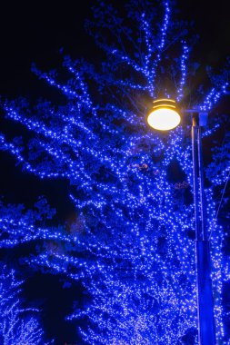 Shibuya Blue Cave kış aydınlatma festivali, güzel görünümü, popüler turistik, tatil için seyahat yerler, Tokyo şehir, Japonya'da ünlü romantik ışık olaylar