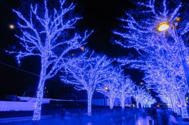 Tokyo, Japonya - 21 Aralık 2018 : Shibuya Mavi Mağarası kış aydınlatma festivali, şehirdeki ünlü romantik ışık etkinlikleri, güzel manzara, popüler turistik mekanlar, tatil için seyahat yerleri