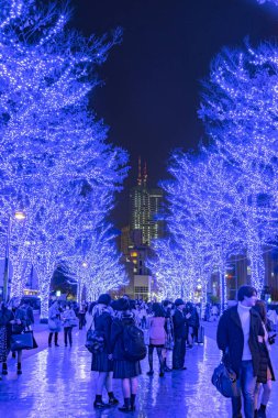 Tokyo, Japonya - 21 Aralık 2018 : Shibuya Mavi Mağarası kış aydınlatma festivali, şehirdeki ünlü romantik ışık etkinlikleri, güzel manzara, popüler turistik mekanlar, tatil için seyahat yerleri