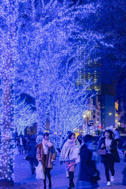 Tokyo, Japonya - 21 Aralık 2018 : Shibuya Mavi Mağarası kış aydınlatma festivali, şehirdeki ünlü romantik ışık etkinlikleri, güzel manzara, popüler turistik mekanlar, tatil için seyahat yerleri