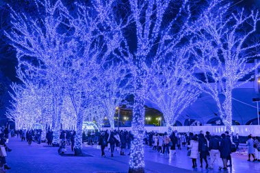 Tokyo, Japonya - 21 Aralık 2018 : Shibuya Mavi Mağarası kış aydınlatma festivali, şehirdeki ünlü romantik ışık etkinlikleri, güzel manzara, popüler turistik mekanlar, tatil için seyahat yerleri