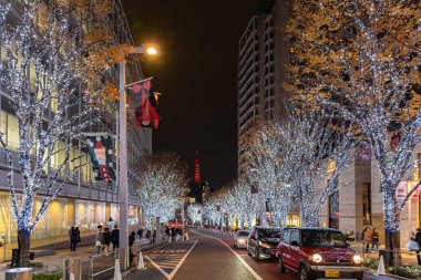 Tokyo, Japonya - 22 Aralık 2018 : Roppongi Hills kış festivali ( Keyakizaka Galaxy Illuminations ), şehrin ünlü etkinlikleri, güzel manzara, popüler turistik mekanlar, tatil için seyahat yerleri