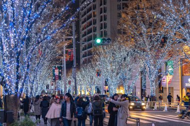 Tokyo, Japonya - 22 Aralık 2018 : Roppongi Hills kış festivali ( Keyakizaka Galaxy Illuminations ), şehrin ünlü etkinlikleri, güzel manzara, popüler turistik mekanlar, tatil için seyahat yerleri