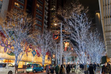 Tokyo, Japonya - 22 Aralık 2018 : Roppongi Hills kış festivali ( Keyakizaka Galaxy Illuminations ), şehrin ünlü etkinlikleri, güzel manzara, popüler turistik mekanlar, tatil için seyahat yerleri
