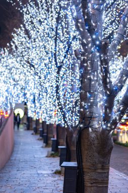 Roppongi Hills kış aydınlatma festivali ( Keyakizaka Galaxy Aydınlatmalar ), güzel görünümü, popüler turistik, tatil için seyahat yerler, Tokyo şehir ünlü olaylar, Japonya