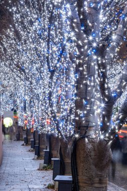 Roppongi Hills kış aydınlatma festivali ( Keyakizaka Galaxy Aydınlatmalar ), güzel görünümü, popüler turistik, tatil için seyahat yerler, Tokyo şehir ünlü olaylar, Japonya
