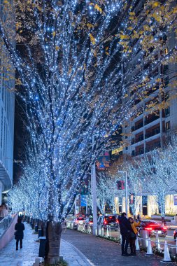 Tokyo, Japonya - 22 Aralık 2018 : Roppongi Hills kış festivali ( Keyakizaka Galaxy Illuminations ), şehrin ünlü etkinlikleri, güzel manzara, popüler turistik mekanlar, tatil için seyahat yerleri