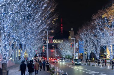 Tokyo, Japonya - 22 Aralık 2018 : Roppongi Hills kış festivali ( Keyakizaka Galaxy Illuminations ), şehrin ünlü etkinlikleri, güzel manzara, popüler turistik mekanlar, tatil için seyahat yerleri