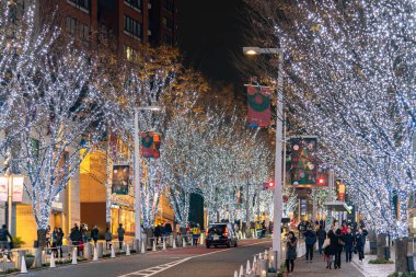 Tokyo, Japonya - 22 Aralık 2018 : Roppongi Hills kış festivali ( Keyakizaka Galaxy Illuminations ), şehrin ünlü etkinlikleri, güzel manzara, popüler turistik mekanlar, tatil için seyahat yerleri